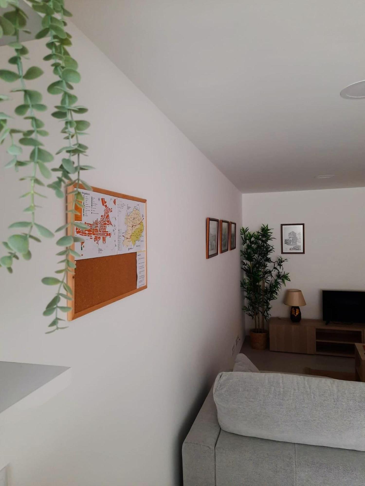 A Toca Dos Coelhos Apartment Mogadouro  Luaran gambar